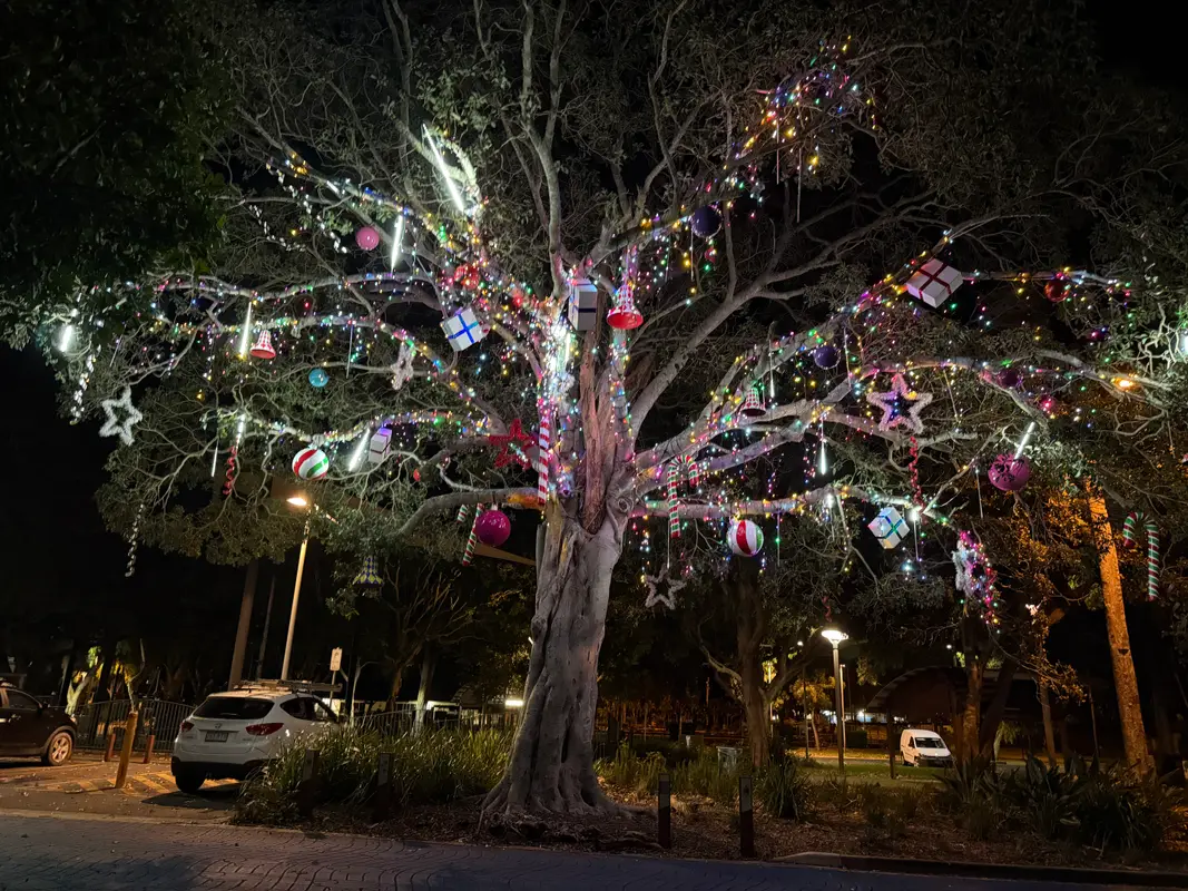 Beachmere Christmas Tree 2025 - Install for City of Moreton Bay - Mainline Electrics