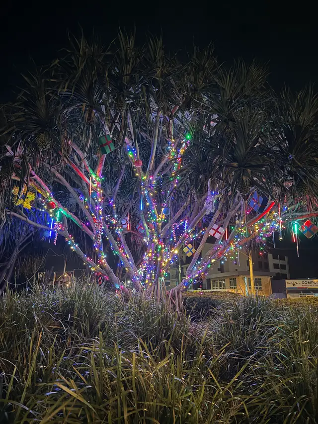 Bellara RAB Christmas Tree 2026 - Install for City of Moreton Bay - Mainline Electrics