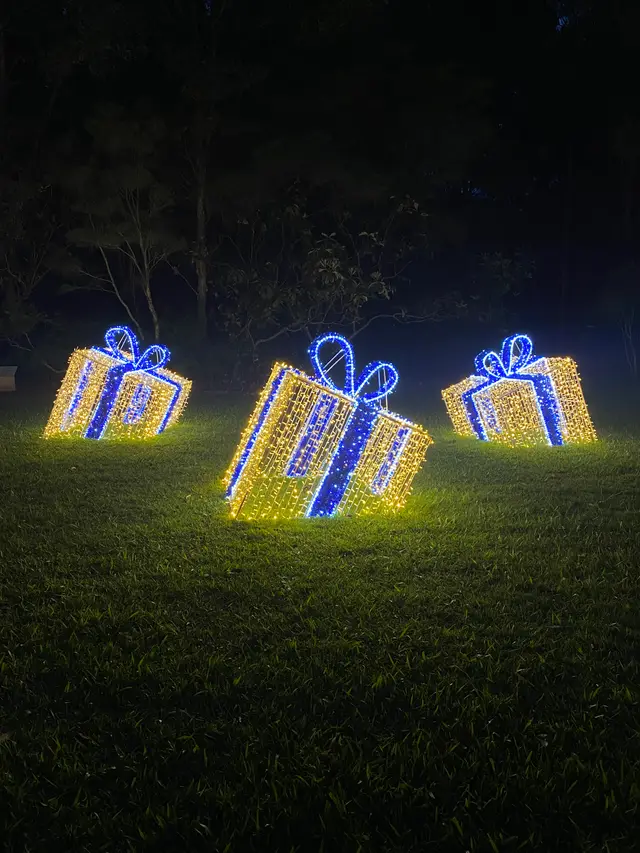 Buried Gilf Boxes 2024, Maroochy Botanical Gardens - Mainline Electrics