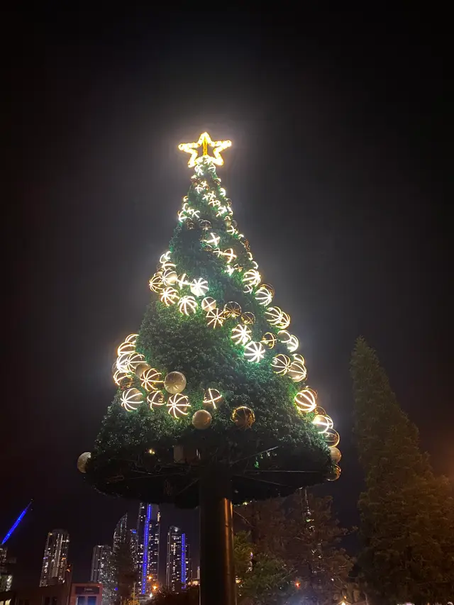 Chevron Island Christmas Tree 2025 (Night) - Install for City of Gold Coast - Mainline Electrics