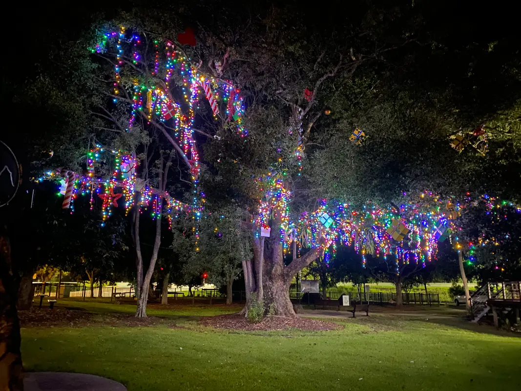 Glasshouse Christmas Tree 2024, Glasshouse Mountains - Install for Sunshine Coast Council - Mainline Electrics
