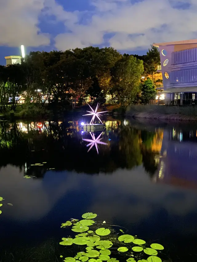 Lake Star 2024, Robina - Installed for City of Gold Coast - Mainline Electrics