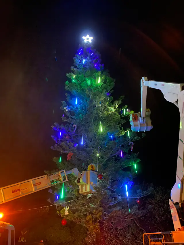 Marcoola Christmas Tree 2025, Marcoola - Install for Sunshine Coast Council (1) - Mainline Electrics
