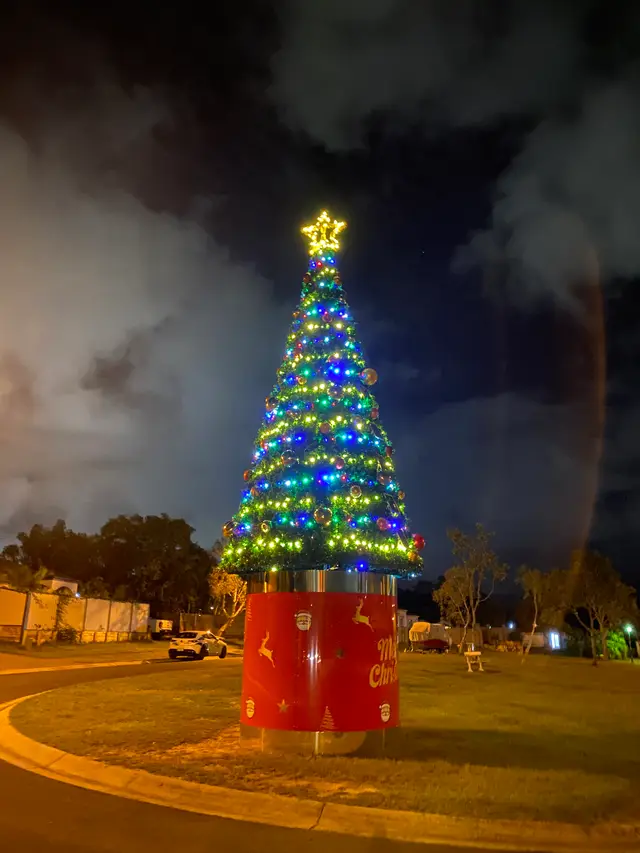 Napper Rd Christmas Tree 2025 - Install for City of Gold Coast - Mainline Electrics