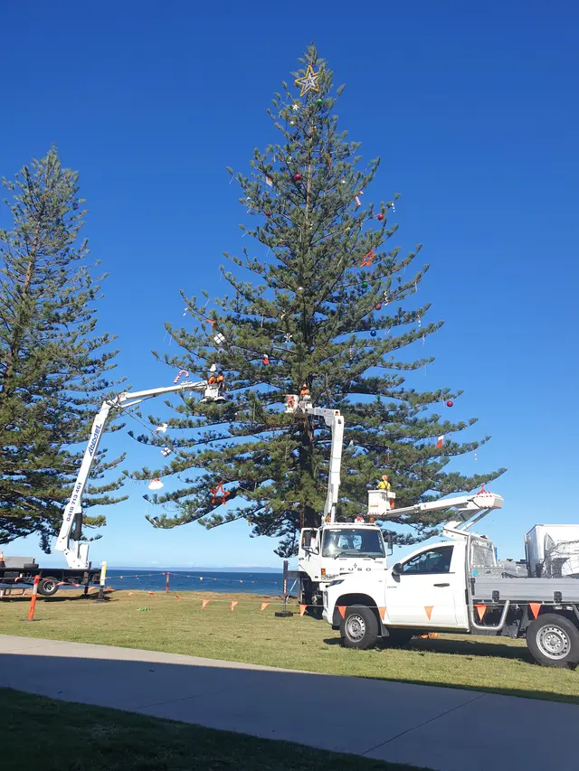 Scarborough Tree - Install for City of Moreton Bay - Mainline Electrics