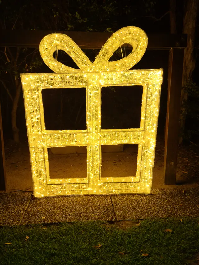 Selfie Frame 2024, Maroochy Botanical Gardens - Mainline Electrics